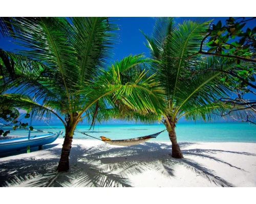 Tapeta na zeď Palma