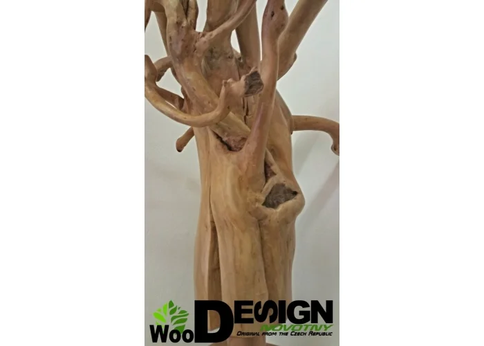 Dekorace Medúza WOOD dřevo Design by Novotny