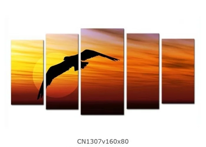Obraz Letící pták