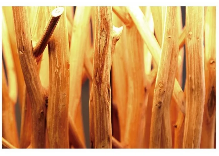 Stojací lampa v přírodním dřevě Euforie 175cm